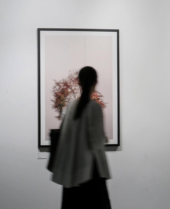 张克纯 在 Instagram 发布的作品，打开原帖查看完整内容